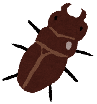mushi_kuwagata_mesu
