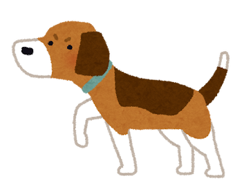 hunter_dog