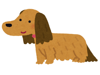 dog_dachshund_choumou