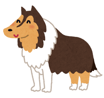 dog_collie