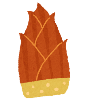 takenoko_bamboo_shoot