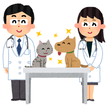 pet_doctor_juui