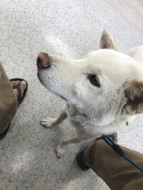 E54D1F50-5A0F-4F43-9586-054E9BEA1576