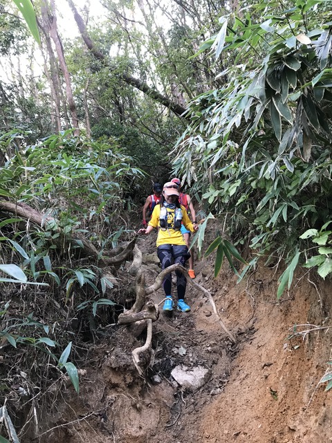 2F61CF91-AE92-439D-B667-0A929EE708E4