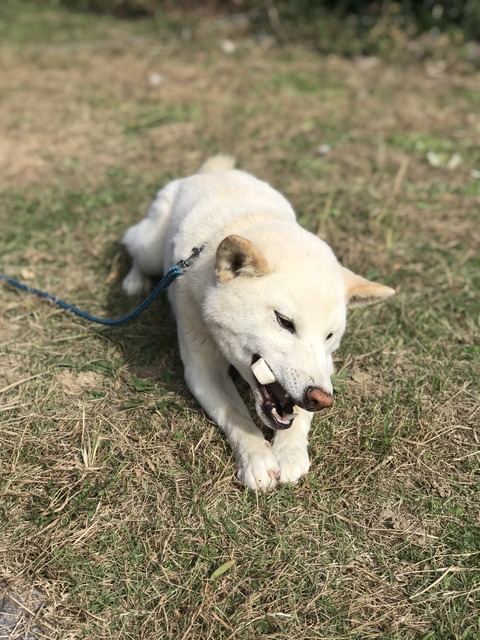 56143F0D-73E1-44D5-802E-6F1BB23F7149