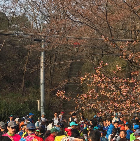 36498149-CBE8-497D-8028-AA7D6EC72D69