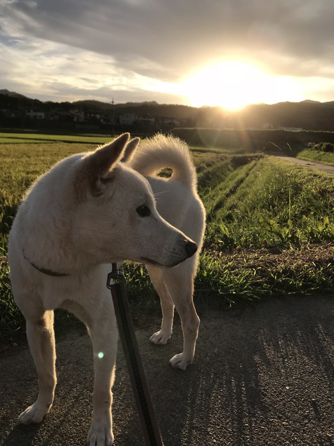 257442E9-7432-40C6-870F-FCD821A4B5FE