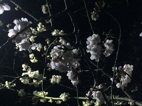 5E09EF18-99E1-45AB-8016-181018A849CD