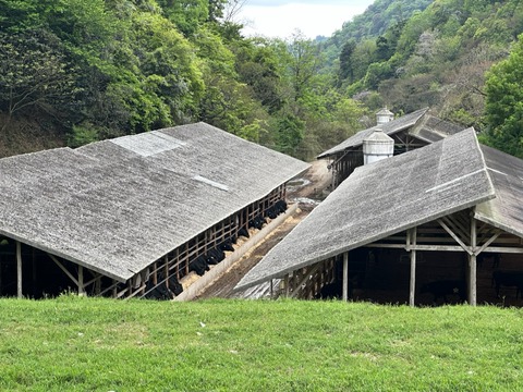 28D9618B-38E2-46A5-A1F2-24D6698FC2D5