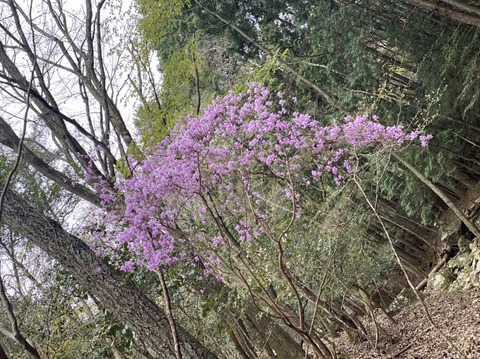 27D5DA6D-8255-4C2B-8690-621A8DBA161F