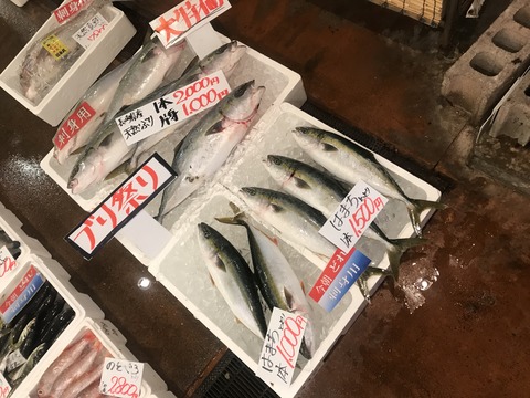 A83D6311-6695-474F-82F8-48494203505C