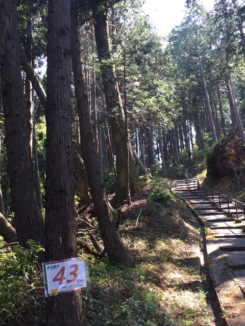 89940303-B7E3-48EC-AAAB-5E77F543BF7F