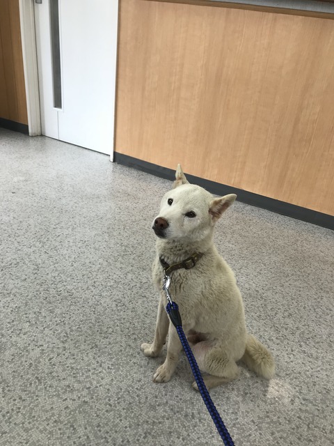 3E8BCB33-C438-4489-88E6-B68416767FC3