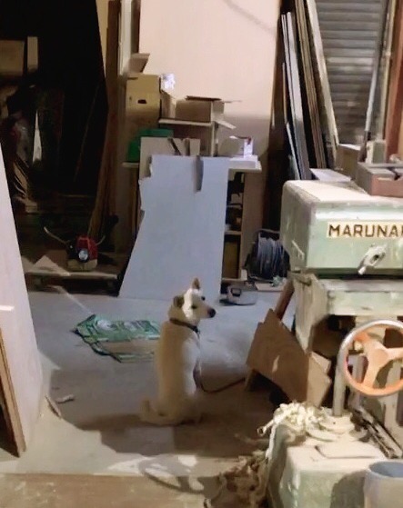 7B5D5412-B8F9-4A48-833A-4453608FA38E