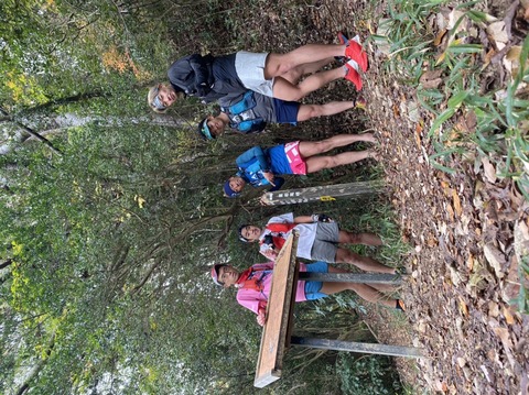 E0271CA0-6160-4E6C-B1CA-F4AE8D74C02F