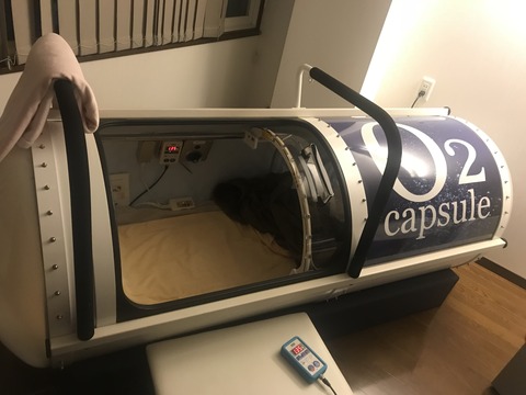 06000E75-26EA-43F3-AC54-843CFB162B82