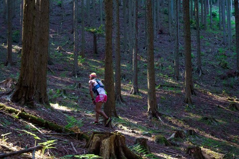 478E22A2-8FDF-4C8A-9BDC-717DA22EF5FB