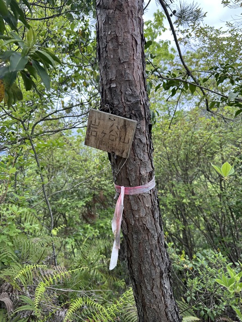 4480367E-7E2E-427F-8B41-DB720092E56C