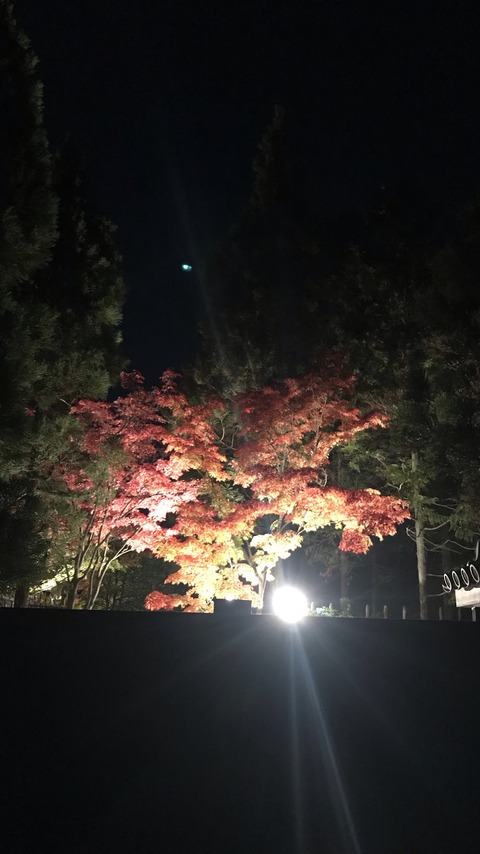 EE5D3D65-8013-43ED-9EC3-56FDC7E9DF9D