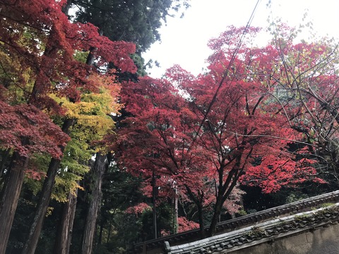 1C5311FB-6563-4E59-8B39-EE78694AF3D1