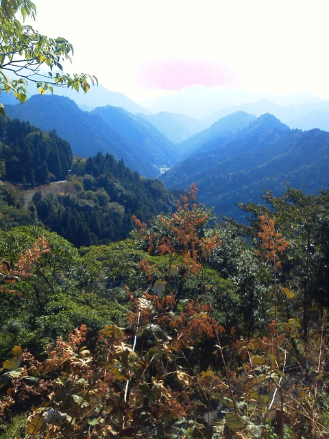 NEC_0212