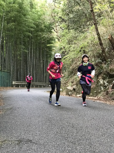 E44CD913-A0F1-4A9F-B23E-9BE7CA2C93B8