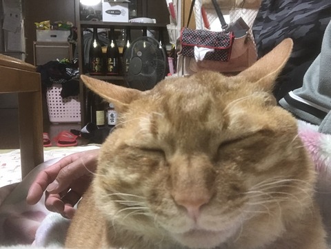 9AF419C3-FB7E-43A8-AF4D-FC68F477B980