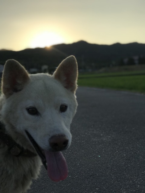 7DA07C9D-E7A7-4D03-9196-7658DE606573