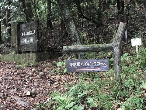 C989AECD-2794-4D32-A43A-A07ED5A8602B