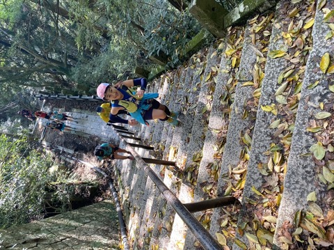 CA610DF0-9F32-4037-B98F-DEF672F26E80