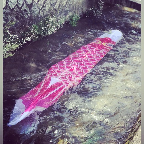 F2662B16-6E2B-4A9A-8123-C7D8BC7971B8