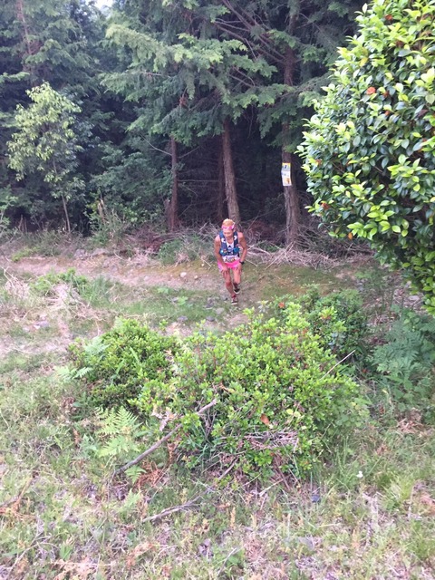 B851933F-EC47-4EF1-9520-33D6DE7FF02D