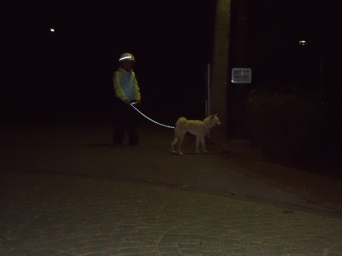 DSC00769