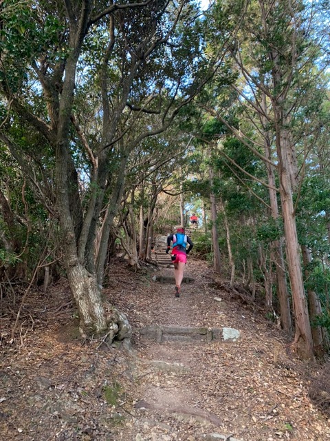 0FA1BC84-1AE5-41D6-8505-42BF2D8C4DAA