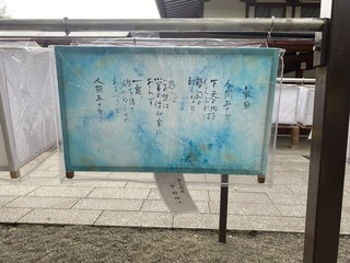 IMG_6952