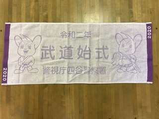 武道始