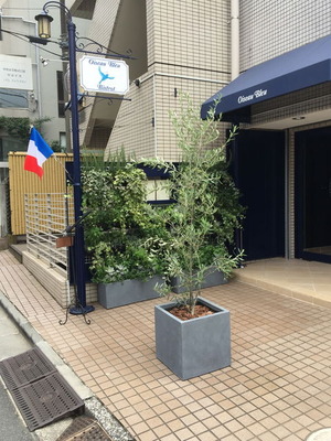 本日開店