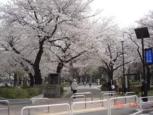 城西5区