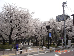 城西5区