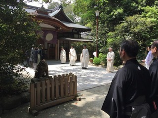 下鴨
