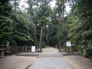 P1010043