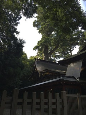 鹿島神宮