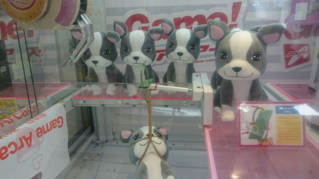 I Love イギーでっかいぬいぐるみにチャレンジ ジャンプショップ ジョジョの奇妙な冒険 深海好きのゲームブログ I Love イギーでっかいぬいぐるみにチャレンジ ジャンプショップ ジョジョの奇妙な冒険 深海好きのゲームブログ