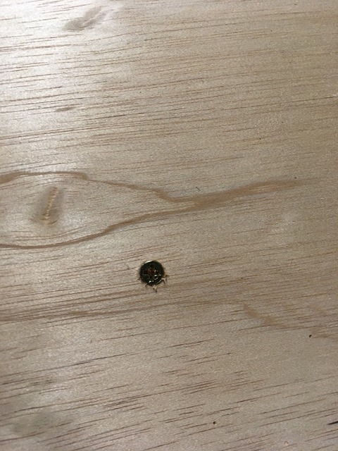 2017-09-12-19-08-24