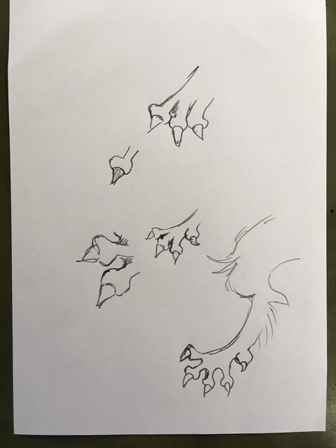 2017-09-30-10-41-48