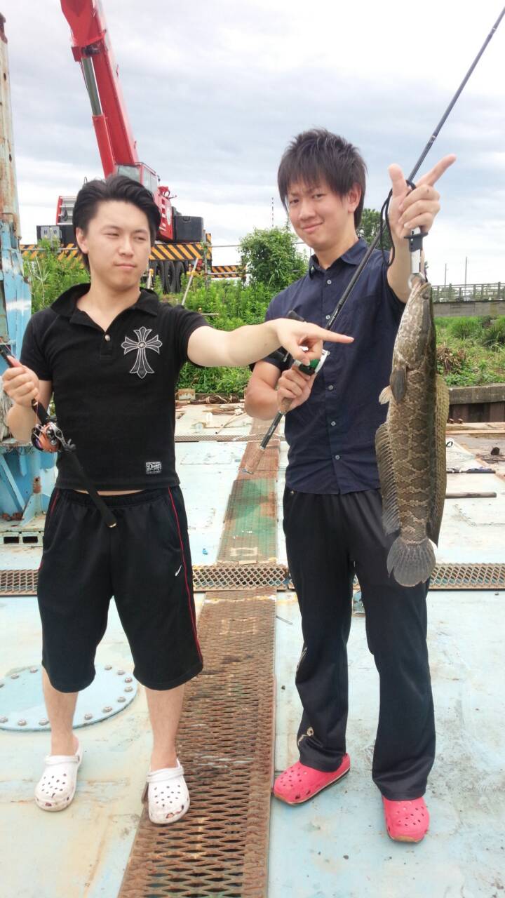 14年雷魚まとめno 1 しゅーくんのライギョ釣り 14年雷魚まとめno 1 しゅーくんのライギョ釣り