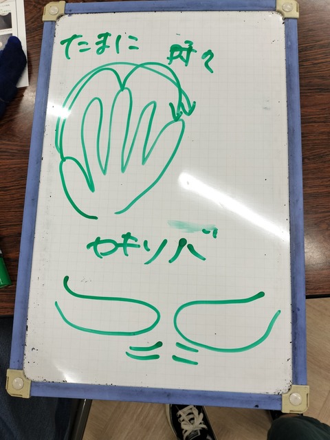 IMG20241019110808