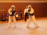 20131104 (13)
