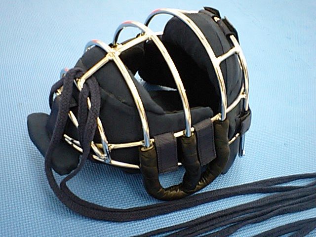 徳大式防具 面編その2 : 日本拳法 修猷塾のブログ
