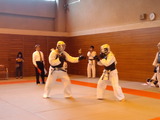 20131104 (11)
